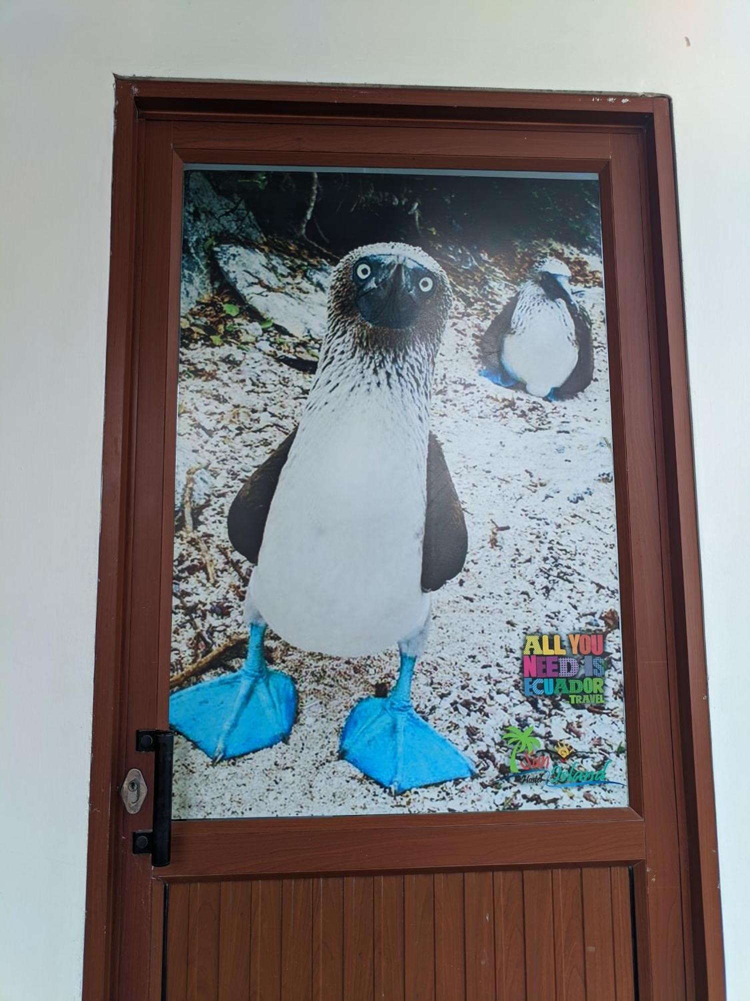 מלון פורטו וילאמיל Sun Island מראה חיצוני תמונה